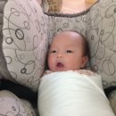 메르디안세탁 이미지