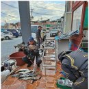 추자 피싱스토리 민박 | 추자도낚시 추천 추자 피싱 스토리 만족 후기 추자도여행 이야기