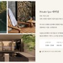유원재 이미지