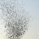 서김제 이미지