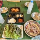 별빛마루 펜션 | 경주캠핑장 자연 속 힐링, 별빛마루 글램핑펜션 후기