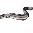 멈머냠냠 이미지