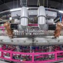 의료법인 다원의료재단 이미지