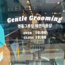 젠틀그루밍 이미지