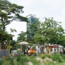 황토숯불닭갈비 이미지