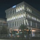 세종교육주