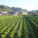 저전리 경로당 이미지