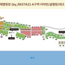 감 이야기 캠핑장 | D+469 송도 국제 캠핑장을 또 간 찐 후기