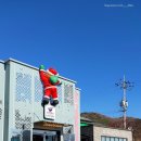 담양 신사와 칼국수 담양본점 이미지