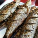 통통이 생선구이