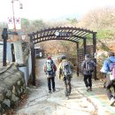 묘하우스 이미지