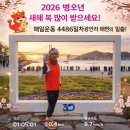 4486 | 4486일 매일운동 고수가 말하는 새해 10km 러닝 성공법