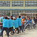 도봉초등학교 이미지