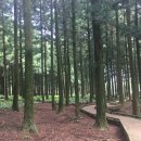 만기목장 이미지