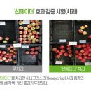 팜한농