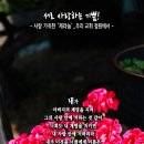 핸드폰 배경화면&잠금화면_20240526_서로 사랑하는 기쁨!_요한복음 15장 10-12절_삼위일체주일 묵상_사랑 가득한 '제라늄'_우 이미지