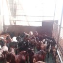 이천제이농장 이미지