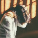 화곡노인복지센터 이미지