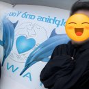 하와이훌라댄스(초급반) | 하와이 혹등고래 투어 시즌 오하우 추천 내돈내산 후기