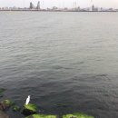 포항수협송도활어회센터 이미지