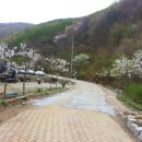 산사이 이미지