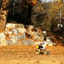 노일리 마을회관 이미지