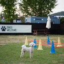 개판살판 이미지