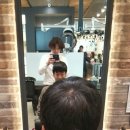 워너비헤어 - 창원시 성산구 | 워너비헤어
