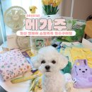 (주)빅베어 | 2025 일산 메가주(상) 펫페어 쇼핑목록 필수구매템