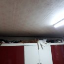 냥이의꿈 이미지