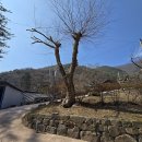 상주 남장사 관음선원 목각아미타여래설법상 | [상주시 노악산 남장사] 관음선원의 보물 설법상과 관음보살상