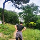 안락복돼지