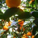 빈이네농장 이미지