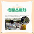노리하자