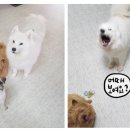 벤지동물병원 이미지