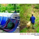 로하스치킨 이미지