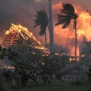 “종말 온 듯” 화마에 휩쓸린 하와이 마우이섬···불길 피해 바다로 뛰어들어 이미지