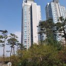 서울언북초등학교 이미지