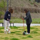 구로종합동물병원 이미지