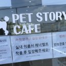 펫 스토리[Pet Story] 네이버블로그