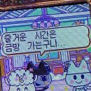 와이낫짐 | 일레븐
