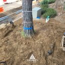 관악-현장-관악-017 이미지