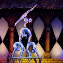 동춘서커스 공연장 이미지