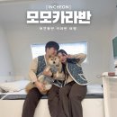 CW-1542-01 | 경기 애견동반 글램핑 영흥도 대부도 모모카라반 추천