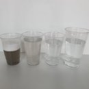 샤인카 이미지