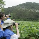 마라기행 이미지