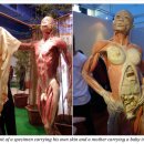 구축농장 이미지