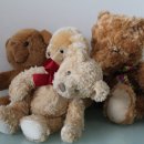 엄마사랑 이미지