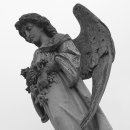 가양5종합사회복지관 이미지