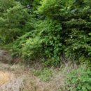 도내리보건진료소 이미지